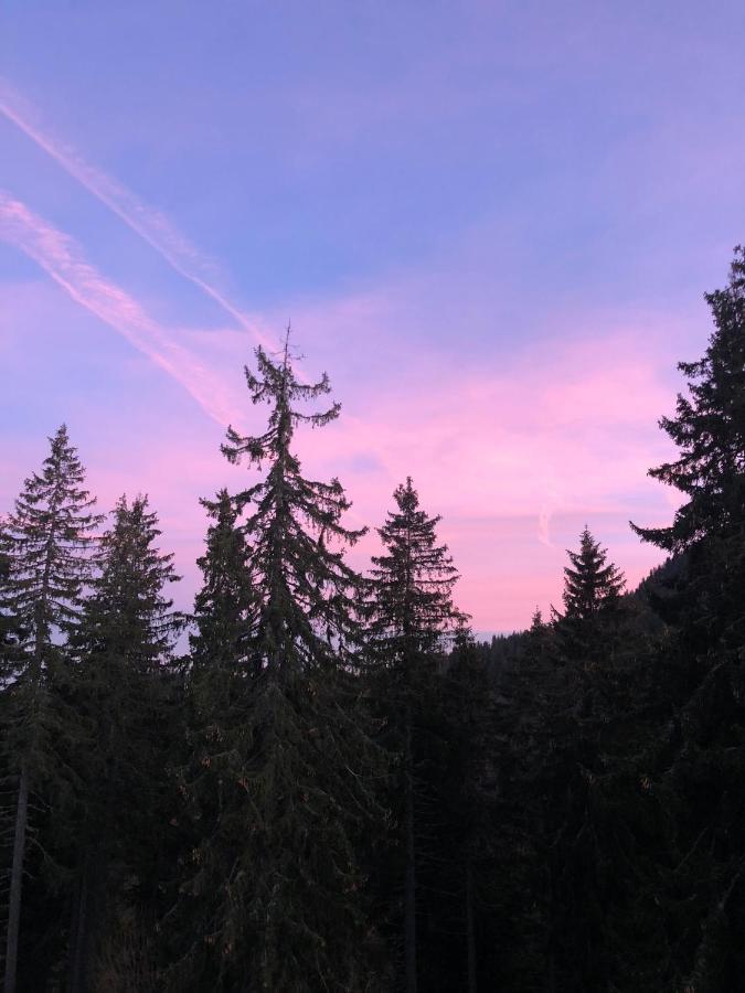 Daire Luxury Studenets Pamporovo